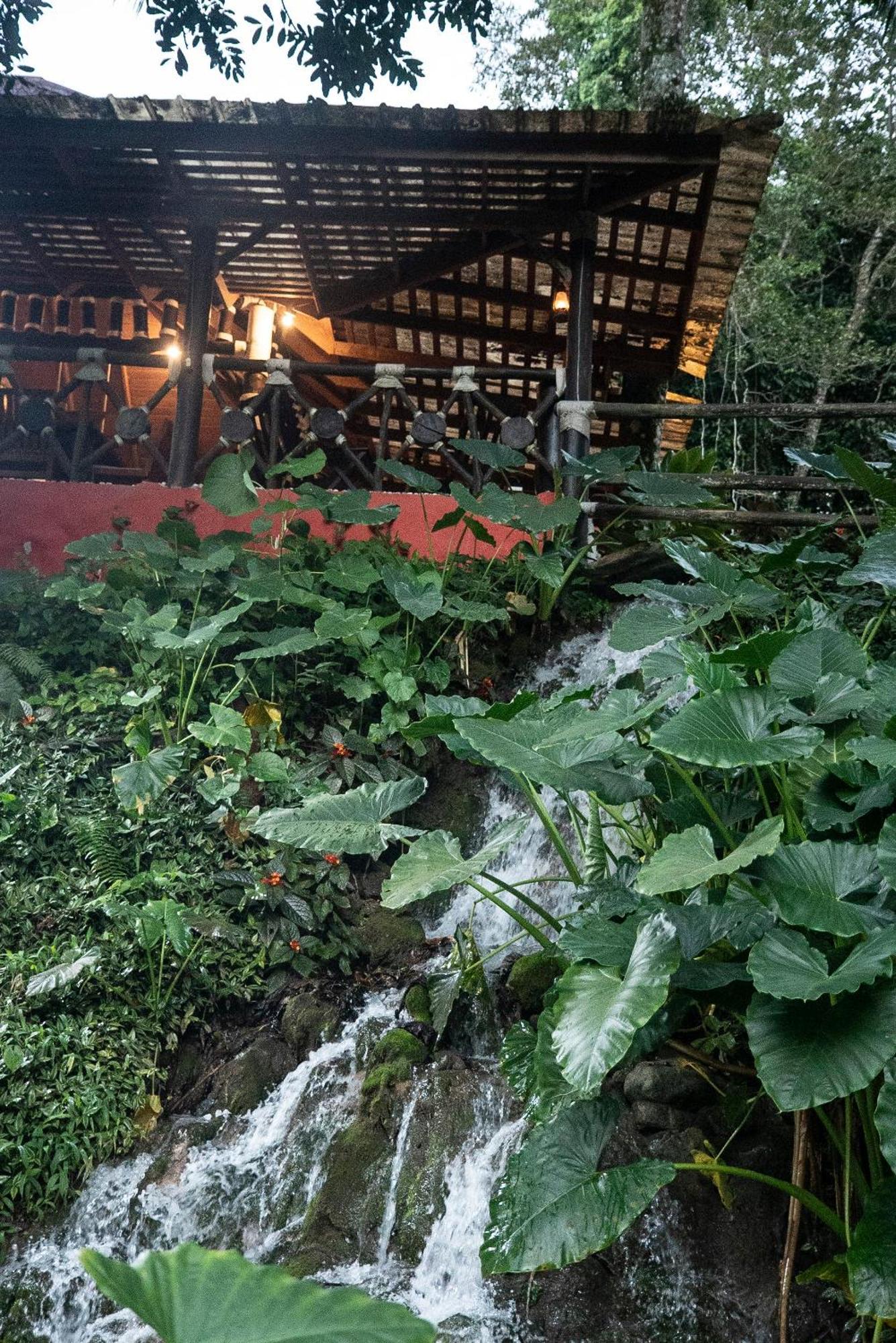 Platon Ecolodge Barahona Екстер'єр фото