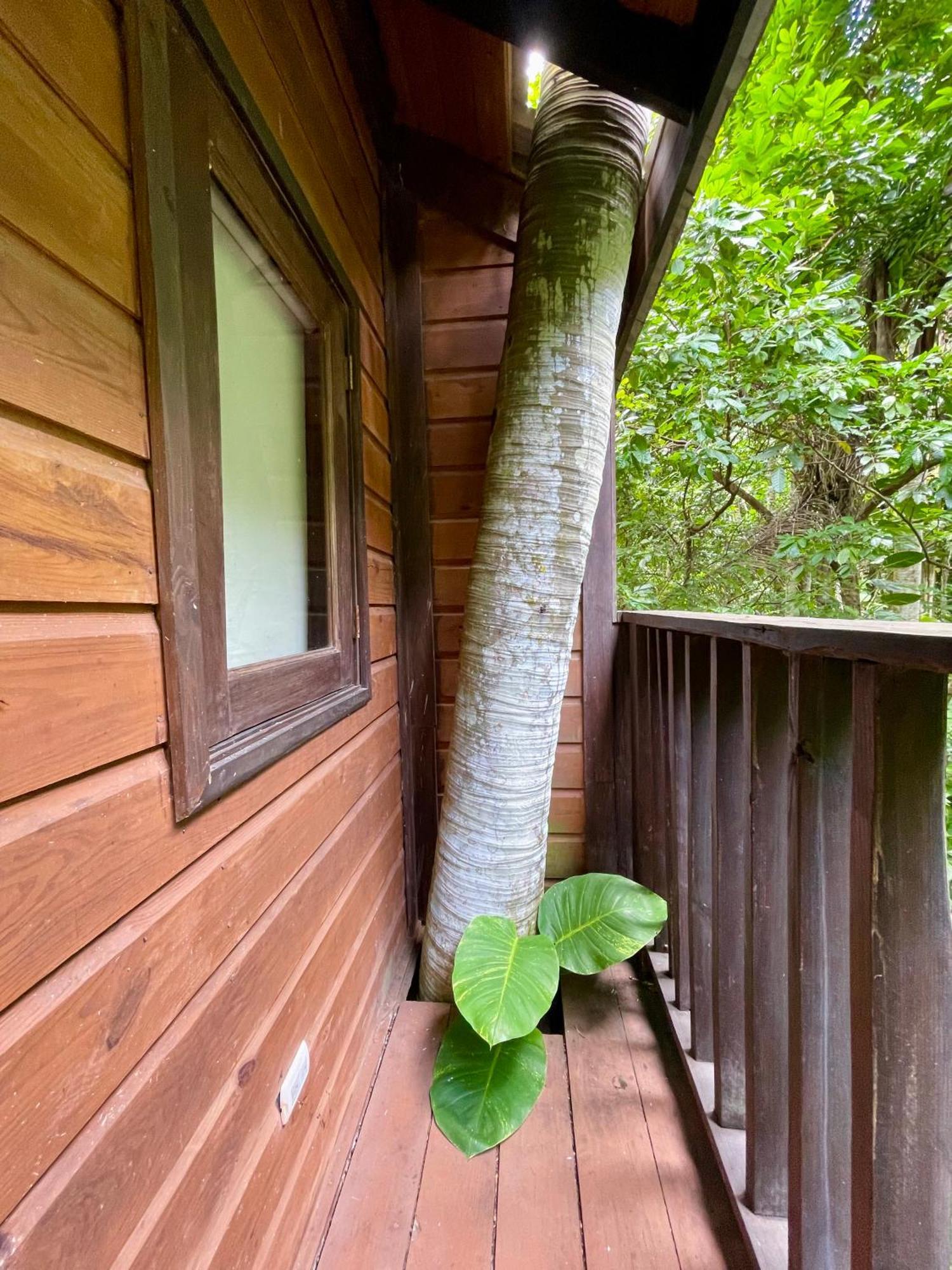 Platon Ecolodge Barahona Екстер'єр фото